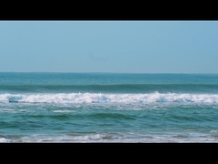 호프-위쉬 레이저 카메라